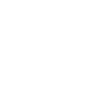 boise metro